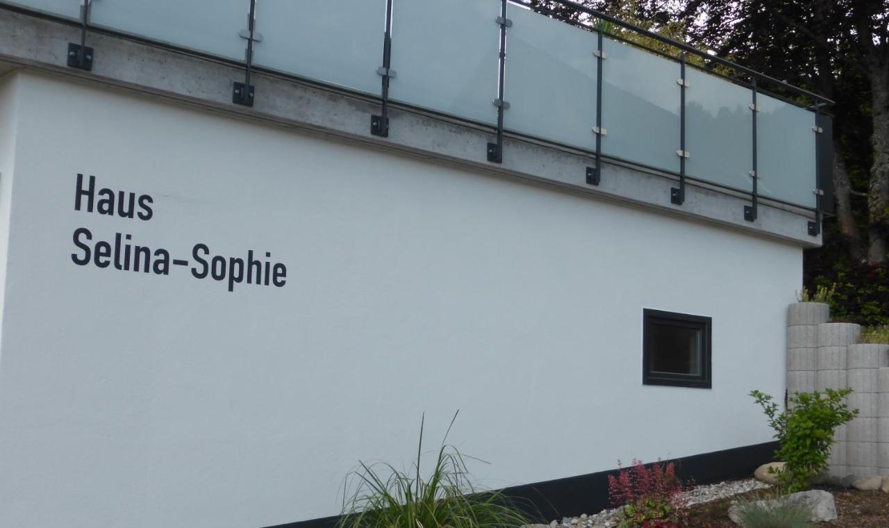 Ferienwohnung Selina-Sophie 巴登韦勒 外观 照片